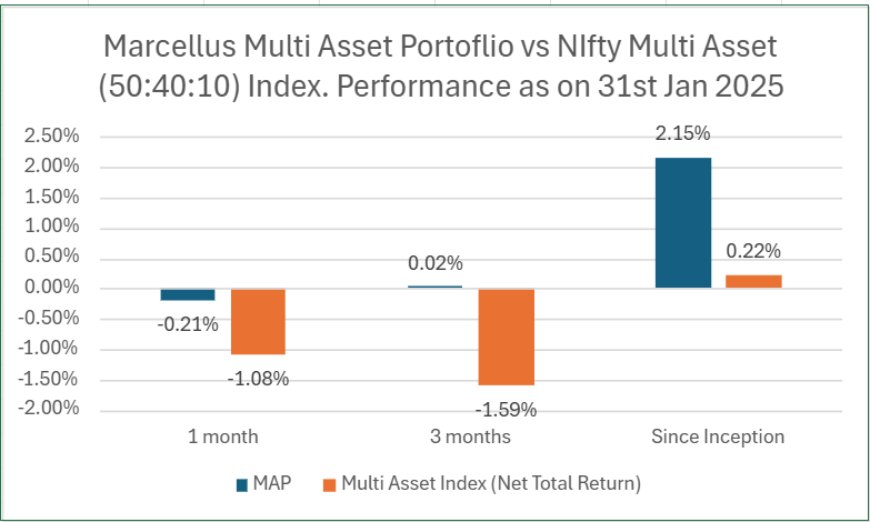 Multi Asset Portfolio vs the Benchmark - January 2025