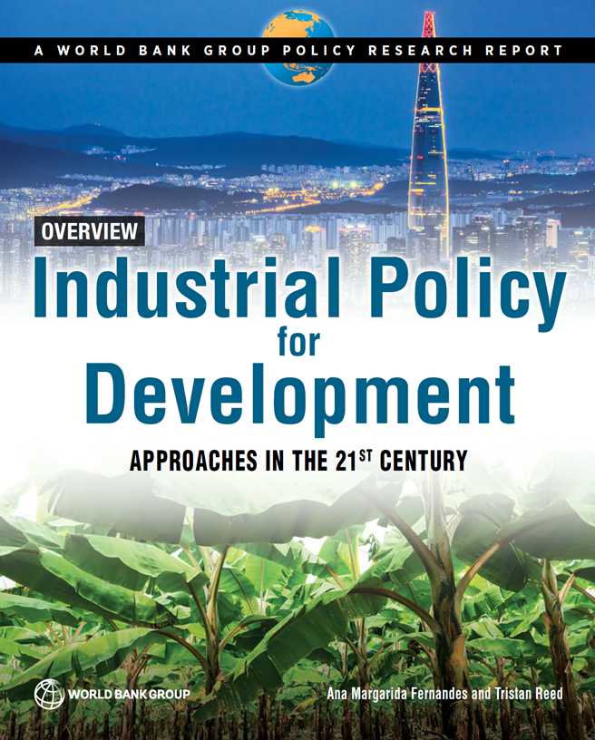 Industrial Policy for Development